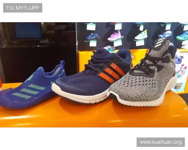 B体育网页版的客户服务与常见问题解答，帮助用户快速解决使用难题