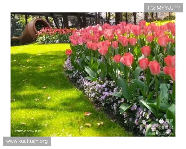 乐竞体育官方下载指南，详细步骤帮助用户轻松完成软件安装